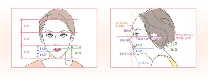 お顔の比率と、印象図