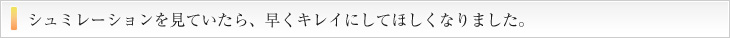 シュミレーションを見ていたら、早くきれいにしてほしくなった。